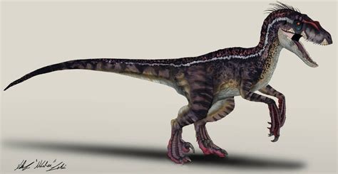 The Lost World Jurassic Park T-Rex male by NikoRex on DeviantArt | Velociraptor jurassic park ...