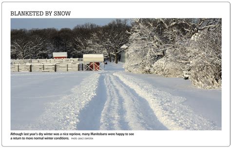 Manitoba returns to 'normal winter conditions' - Manitoba Co-operator