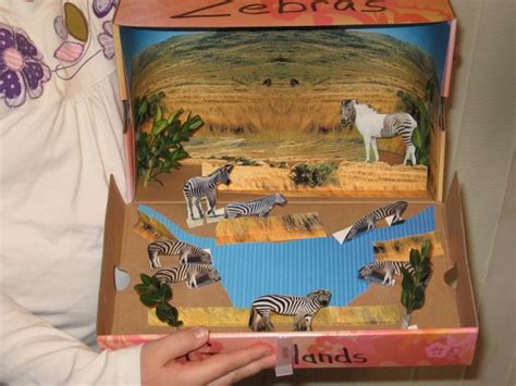 Making a diorama. | Habitats projects, Kids art projects, Animal projects