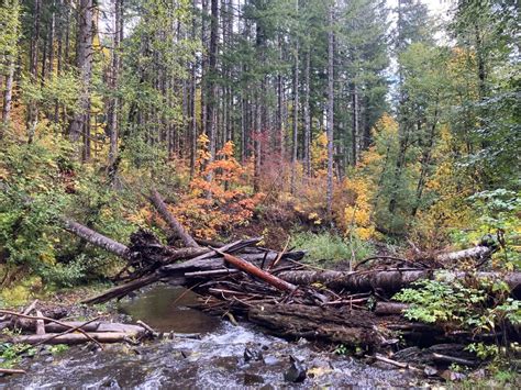 NetMap Pilot Project - Tualatin River Watershed Council