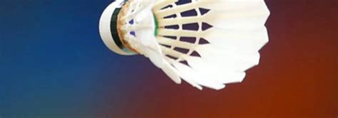 TYPES OF BADMINTON SHUTTLECOCK - Sports Galaxy - Online Sports Store in India