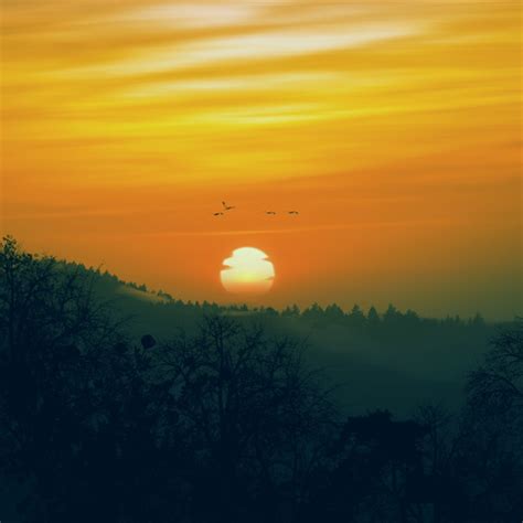 Beautiful scenery at sunrise Stock Photo free download