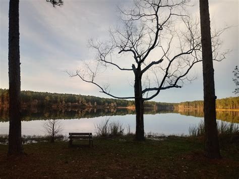 Bear Lake Campground | Milton, FL