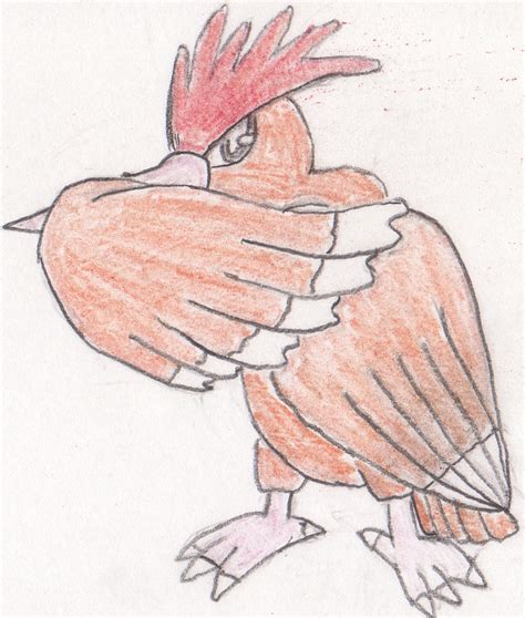 Fearow by Fuzzbyroo on DeviantArt