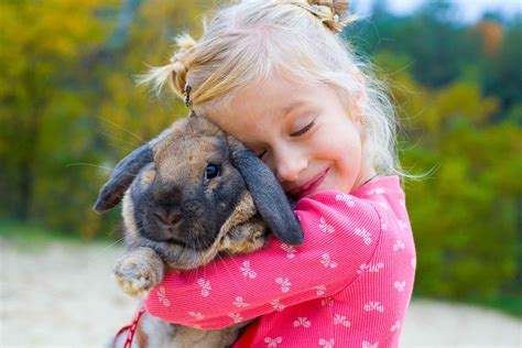 Common rabbit diseases - Vetwest Veterinary Clinics