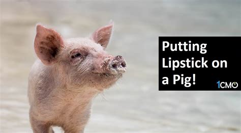 Putting Lipstick on a Pig! - 1CMO