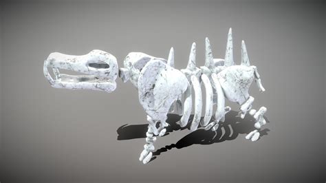 ArtStation - Hippo Skeleton | Game Assets