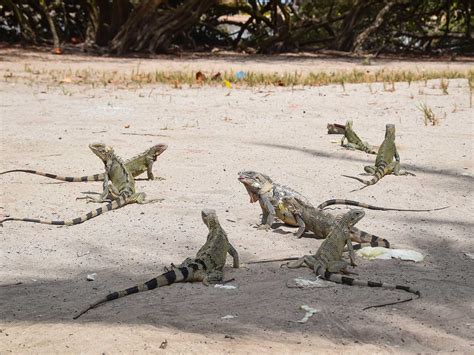 Morrocoy National Park | Mustseespots.com