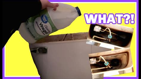 PUT VINEGAR IN YOUR TOILET AND WATCH WHAT HAPPENS! ( MIRICLE NATURAL TOILET CLEANER) - YouTube