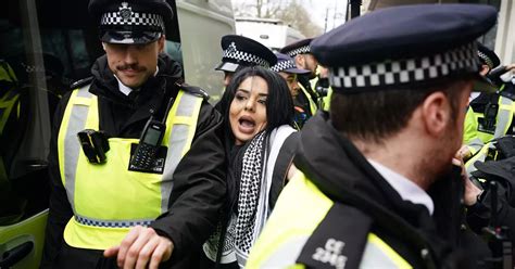 London Palestine protest sees 11 arrests as Met Police detain some for ...