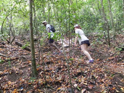 The Surprisingly Enjoyable Hiking Trails of Antigua