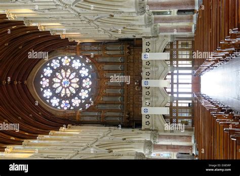 St Colman's Cathedral, organ, rose window, interior, Cobh, Munster, Ireland Stock Photo - Alamy