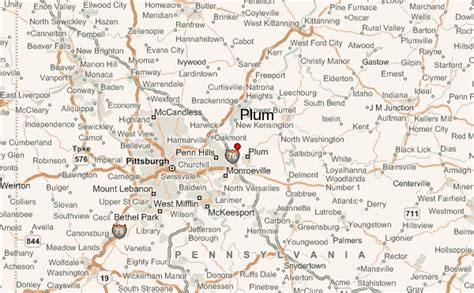 Plum Location Guide