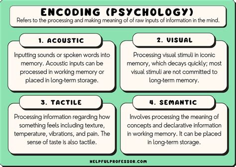 The Six Types of Encoding (Psychology of Memory) (2024)