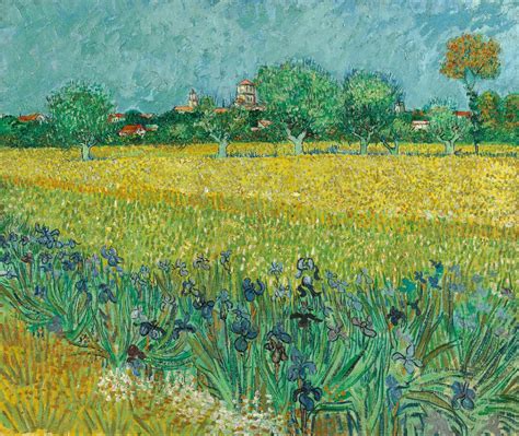 Vincent van Gogh - Field with Irises near Arles - Van Gogh Museum