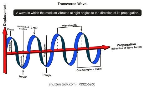 Blank Transverse Wave Diagram