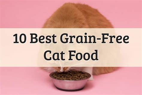 10 Best Grain-Free Cat Food (2021 Review) Complete Guide