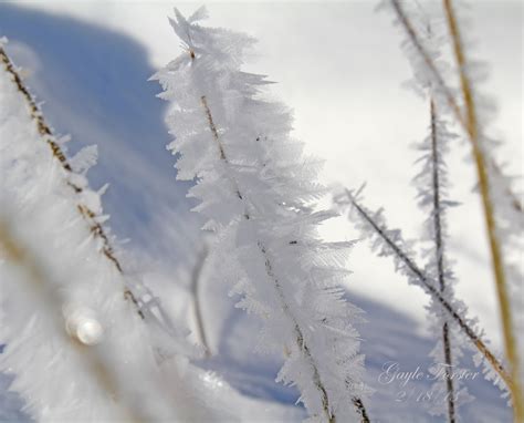 All About Beautiful Moments : Snow Feathers