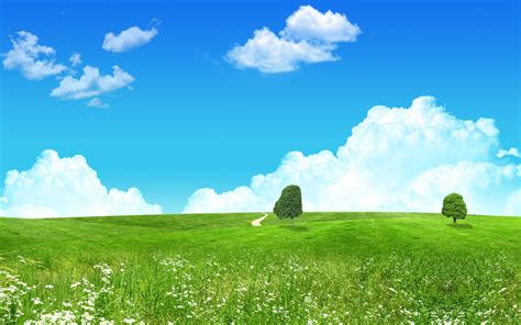 Anime Grass Field Wallpapers - Wallpaper Cave