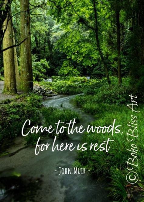 John Muir Quote: Come to the woods for here is rest. Nature | Etsy ...