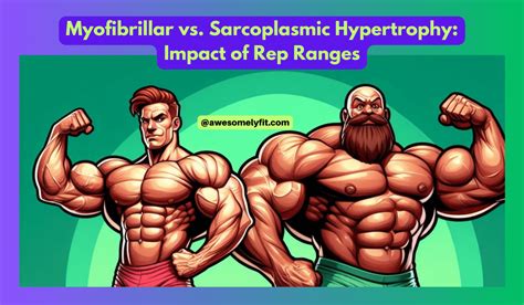 Myofibrillar vs. Sarcoplasmic Hypertrophy: Impact of Rep Ranges - AwesomelyFit