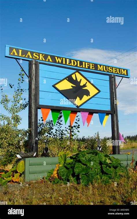 Alaska Wildlife Museum Glennallen Alaska AK U S United States at intersection of Glenn Highway ...