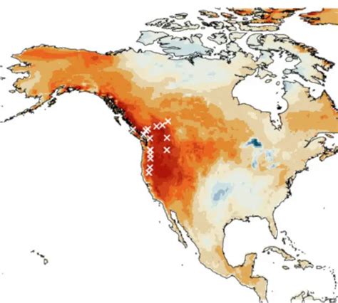 1,000-Plus Years of Tree Rings Confirm Unprecedented Nature of 2021 Western North America Heat Wave