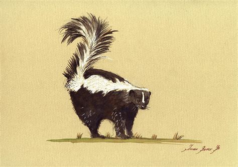 Skunk Watercolor Painting by Juan Bosco