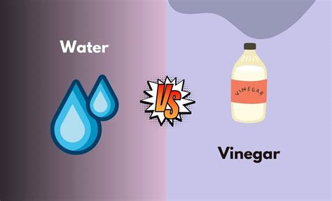 Water Vs Vinegar - What's the Difference (With Table)