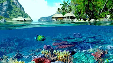 Ocean Reef Wallpaper (49+ images)