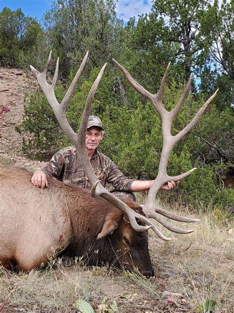 Colorado Elk Hunting | Guided Elk Hunts | Atmore Outfitters