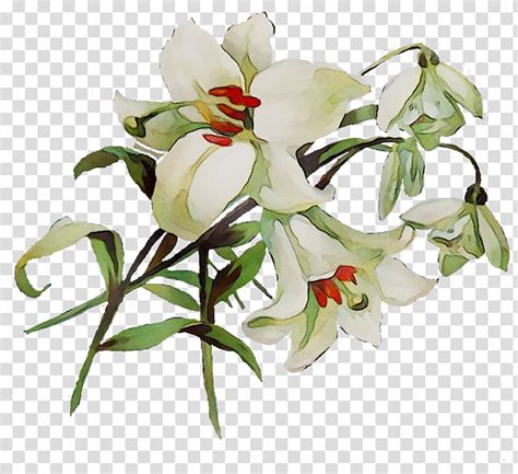 Easter lilies clipart drawing Clipart Library Clipart Library - Clip ...