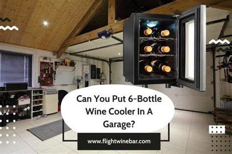 Top 6 - Best 6 Bottle Wine Cooler Reviews & Comparison 2023