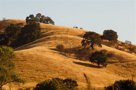 Golden California hills - Carlotta Luke | California landscape, California hills, Rolling hills ...