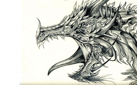 Free Dragon Drawings, Download Free Dragon Drawings png images, Free ClipArts on Clipart Library