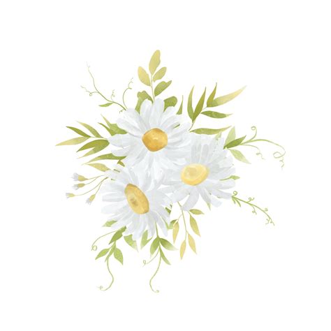 Daisy Wreath White Transparent, Wreath With Watercolor White Daisies, Watercolor, Daisy, Wreath ...