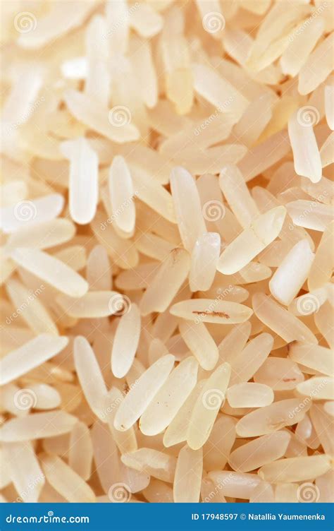 Rice seeds stock image. Image of food, cereal, detail - 17948597