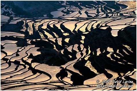 Travel Photo Gallery - Sunrise Over Rice Terraces, Yuanyang, China