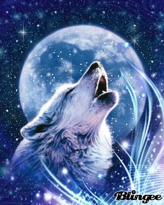 739592953_818472.gif (319×400) | Wolf background, Wolf howling at moon, Wolf spirit animal