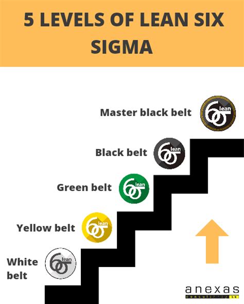 Who provides Lean Six Sigma certification? Top 3 institutes