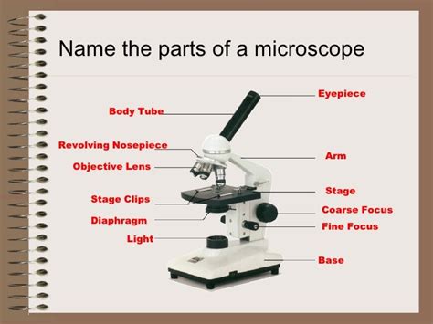 Microscope powerpoint