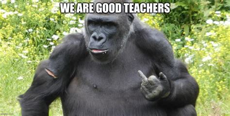 Gorillas learn too much from us - Imgflip