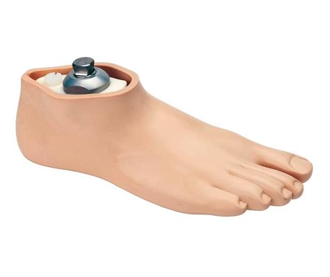 Senior Prosthetic Foot | Prosthetic Feet | Shop Online