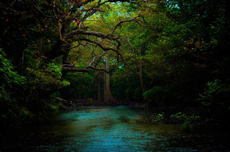 Beautiful Dark Forest Wallpapers - Top Free Beautiful Dark Forest ...