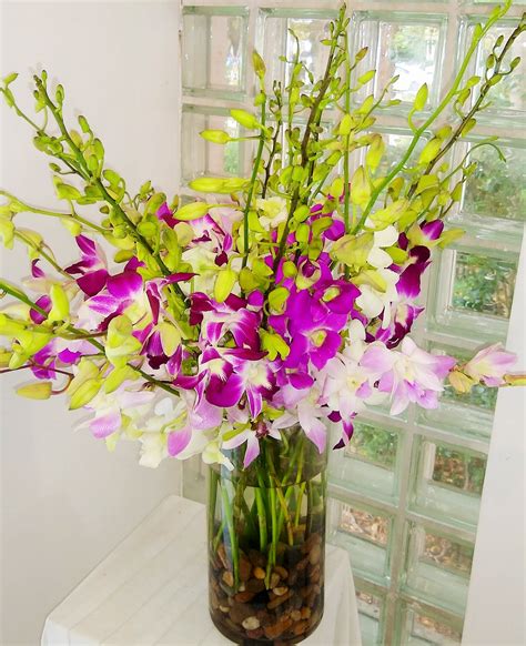 Luminous Luxury 30 Stem Orchid Bouquet in Miami Beach, FL | Miami Beach ...