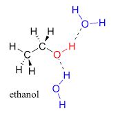 Hydrogen bonding is maximum in:(A) Ethanol (B) Diethyl ether (C) Ethyl chloride (D) Trimethylamine