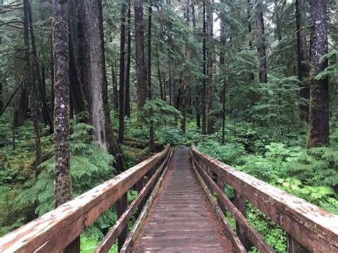 2023 Best 10 Trails and Hikes in Ketchikan | AllTrails