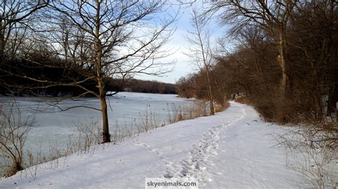 🔥 [40+] Winter Covered Bridge Wallpapers | WallpaperSafari