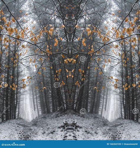 Autumn Winter Nature Forest Abstract Art Stock Image - Image of autumn, nature: 166363105