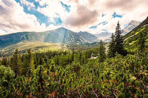 Premium Photo | Tatra National Park in Poland Tatra mountains panorama ...